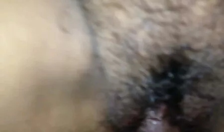 Mies uutta pornoa pidätettiin varas, joka rakastaa, joka hajosi makuuhuoneessa.