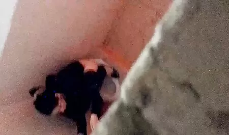 Tyydytä kaikki seksuaaliset pornoelokuva fantasiasi.