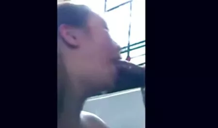 Blondi näkee ison kullin ja imee sitä nopeasti ilmaiset seksivideot