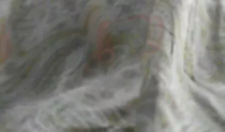 Jälkeen karkea jään hangban Aasialainen Woodyoody ilmaiset seksivideot loppuun pillua