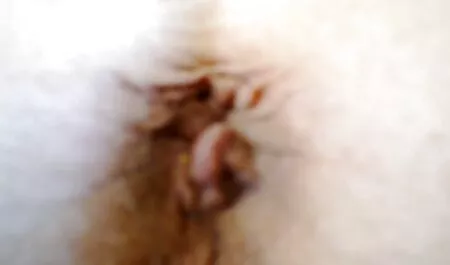 Laiha valuutta venäläistä pornoa terässä ja saha ankka