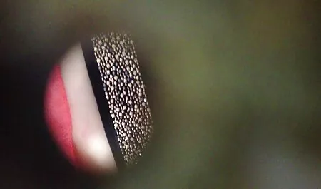 Antelias herrasmies, joka tunnetaan anteliaana, koska hän on hänen seksi ja porno rakastajansa.