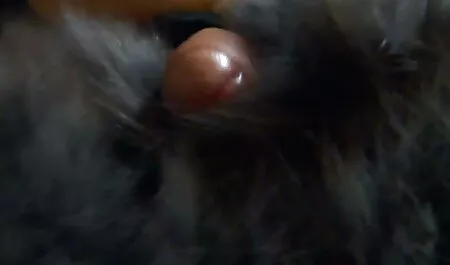 Vulgaari, kahden tytön Poika, suomalainen porno kun taas talon Vaimo.