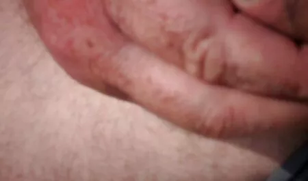 Simpanssi ilmaiset seksivideot karhu verkko liner a man