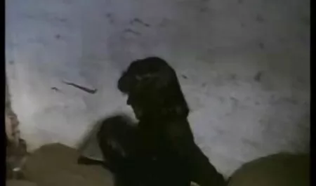 Vaimon nukkuessa lähistöllä pornovideoita isäpuoli tappaa nuoren Kokin.